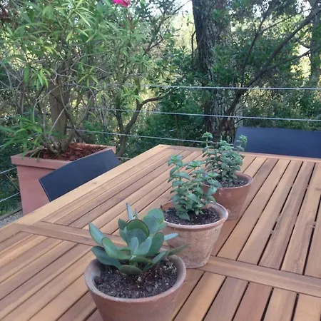 Patio- 5personnes, Proche Et Foret *