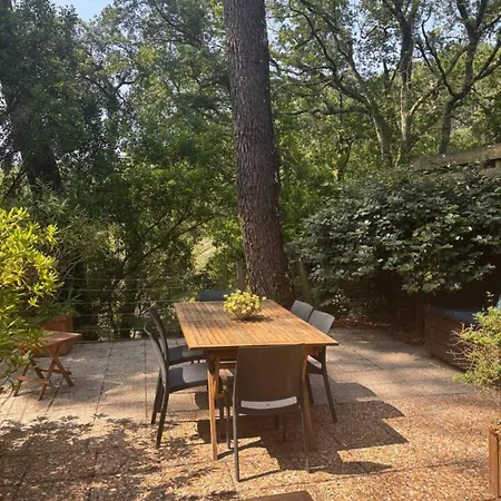 Patio- 5personnes, Proche Et Foret Vakantiehuis Seignosse